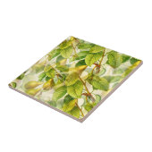 Carreau Branches de poires et Motif de poires  (Côté)