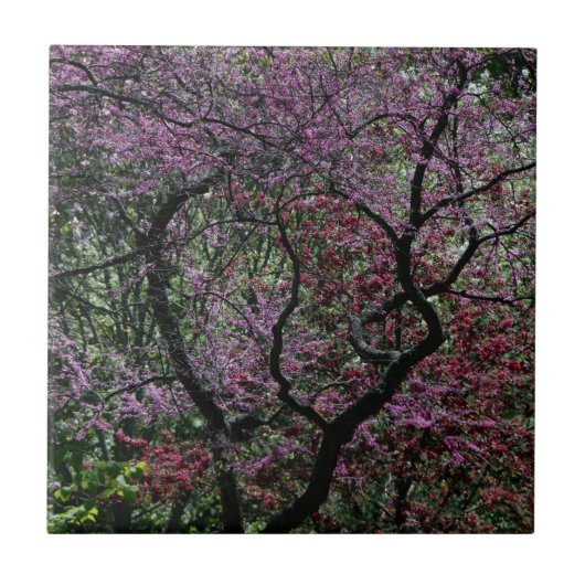 Carreau Branches et fleurs (Devant)