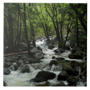 Carreau Bridalveil Creek dans le parc national de Yosemite