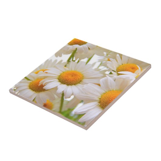 Carreau Bright Summer Daisies Photo (Côté)