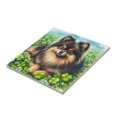 Carreau Brindle Pomeranian Shamrock (Côté)