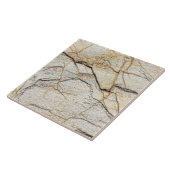 Carreau Brown and Black Textured (Côté)