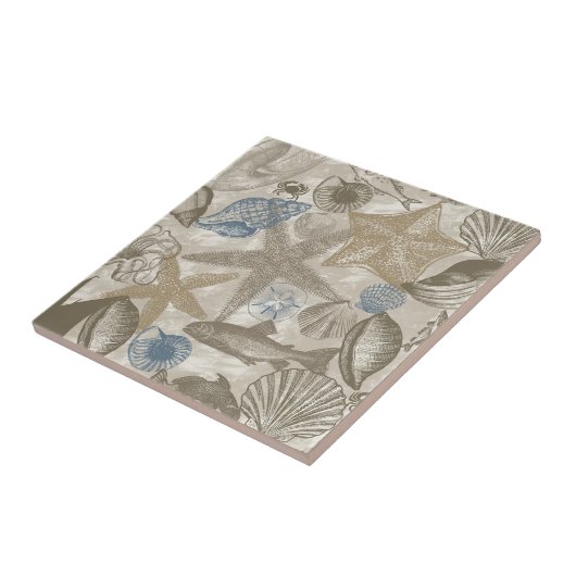 Carreau Brown Beach Blue Shells Ocean (Côté)