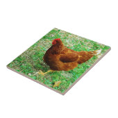 Carreau Brown Hen (Côté)