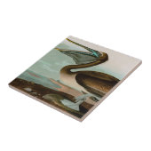 Carreau Brown Pelican Birds of America Audubon Imprimer (Côté)