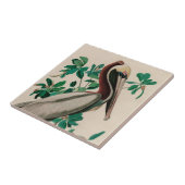 Carreau Brown Pelican Birds of America Audubon Imprimer (Côté)