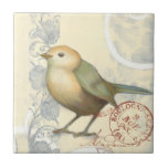 Carreau Bruant jaune et vert sur Arrière - plan Vintage<br><div class="desc">Cette image inspirée du croquis est parfaite pour votre collection d'oiseaux. Il est simple et beau à ajouter sur n'importe quel produit et plaira à tout amateur d'art vintage. Choisissez cette illustration dès aujourd'hui.</div>