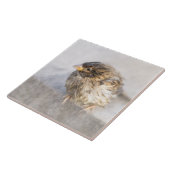 Carreau Bruant - Météo Prévision Épique Échec (Côté)