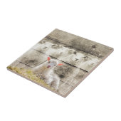 Carreau Brûlure d'agneau de bébé à mouton rustique (Côté)