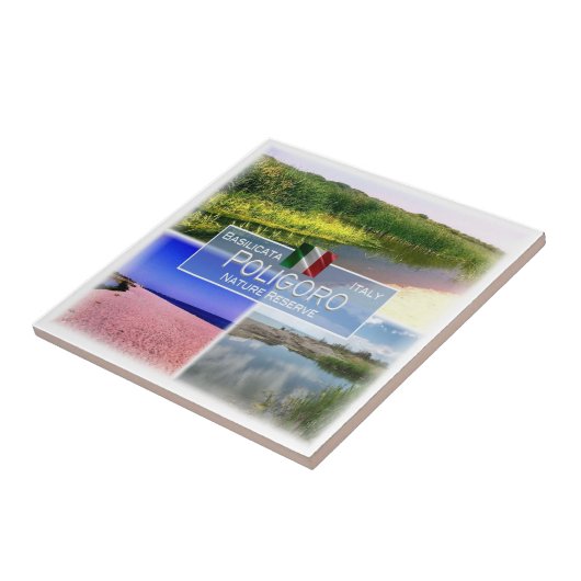 Carreau BSL004 PANTANO di POLIGORO, Basilicate, (Côté)