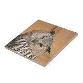 Carreau Bubo bubo sibiricus (Côté)