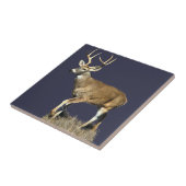 Carreau Buck White Tailed (Côté)