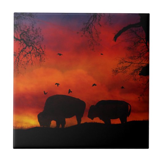 Carreau Buffalo dans le carrelage Sunset Art (Devant)