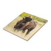 Carreau Buffalo sauvage dans un domaine (Côté)