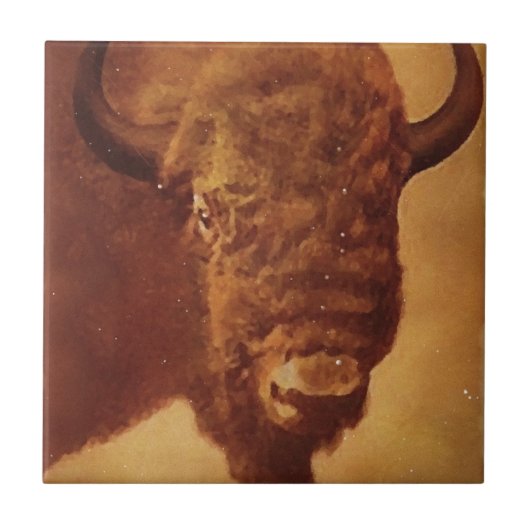 Carreau Buffle / Bison (Devant)