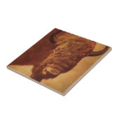 Carreau Buffle / Bison (Côté)