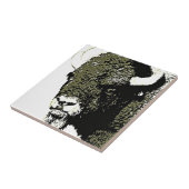 Carreau Buffle - Bison (Côté)