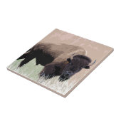 Carreau Buffle / Bison (Côté)