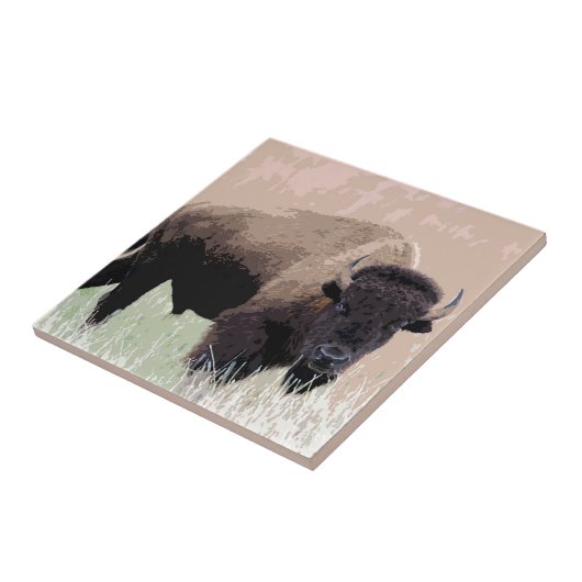 Carreau Buffle / Bison (Côté)