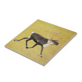 Carreau Bull Caribou (Côté)