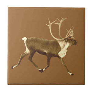 Carreau Bull Caribou - Sepia