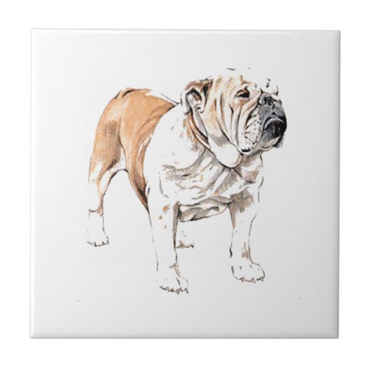 Carreau Bulldog (Devant)