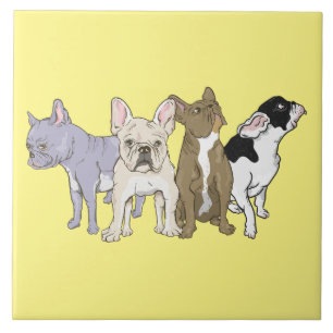 Carreau Bulldogs français