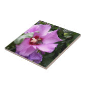 Carreau Bumblebebe sur la fleur d'Hibiscus (Côté)