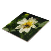 Carreau Bumblebee et dahlia blanc photo (Côté)