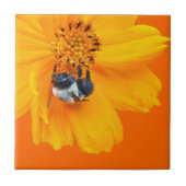 Carreau Bumblebee sur Cosmos (Devant)