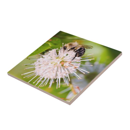 Carreau Busy Bee (Côté)