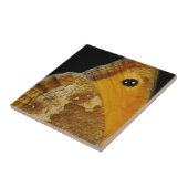 Carreau Butterfly Wing Tile (Côté)