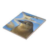 Carreau Cabine Bienvenue Blackbird Rustic Accueil Invité (Côté)