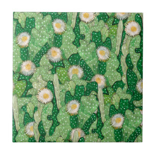 Carreau Cacti Cactus Succulent Fleurs Camouflage Motif