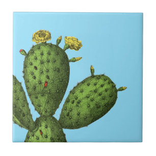Carreau Cactus avec les fleurs jaunes
