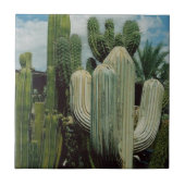 Carreau Cactus de l'Arizona (Devant)