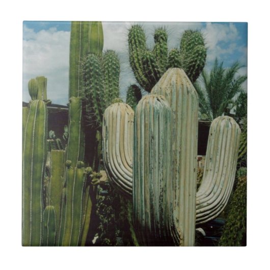 Carreau Cactus de l'Arizona (Devant)