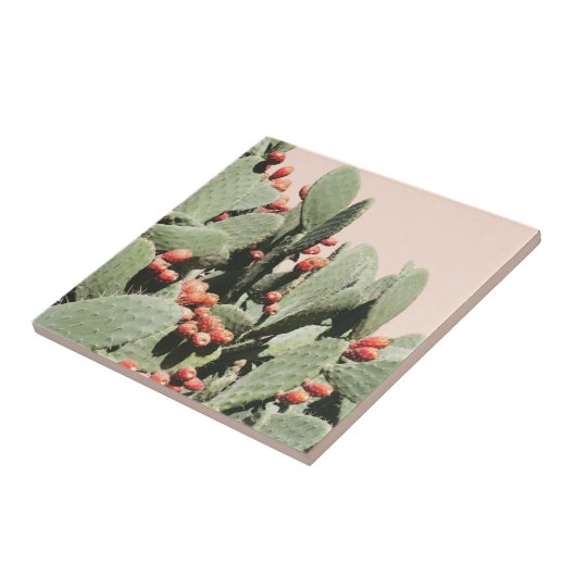 Carreau Cactus de poire de Prickley (Côté)