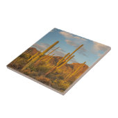 Carreau Cactus du Saguaro au coucher du soleil, Arizona (Côté)