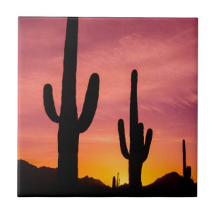 Carreau Cactus du Saguaro au lever du soleil, Arizona