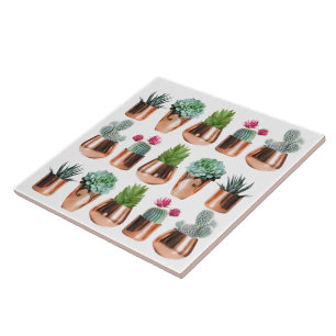 Carreau Cactus et succulents dans des pots d'or Roses