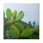 Carreau Cactus Sud-Ouest Prickly Pear Succulent Desert<br><div class="desc">Cette conception a été créée par art numérique. Elle peut être personnalisée en cliquant sur le bouton personnaliser et en modifiant la couleur, en ajoutant un nom, des initiales ou vos mots préférés. Contactez-moi à l'adresse colorflowcreations@gmail.com si vous souhaitez que ce design soit disponible sur un autre produit. Achetez ma...</div>