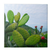 Carreau Cactus Sud-Ouest Prickly Pear Succulent Desert (Devant)