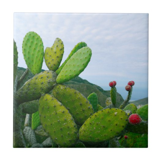 Carreau Cactus Sud-Ouest Prickly Pear Succulent Desert (Devant)