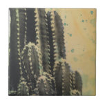 Carreau Cactus vert sur Arrière - plan jaune<br><div class="desc">Cactus Sur Un Arrière - plan Jaune Rasé. Artiste : Naomi McCavitt. ID d'image : 106255Z.</div>