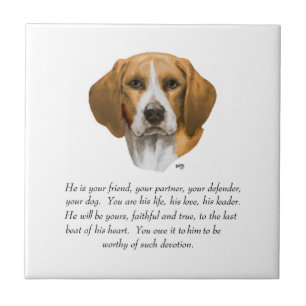 Carreau Cadeau Beagle MÂLE