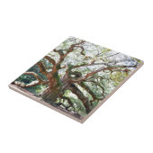 Carreau Cadeaux de chêne d'ange (Côté)