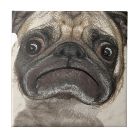 Carreau Cadeaux Grumpy Puggy (Devant)