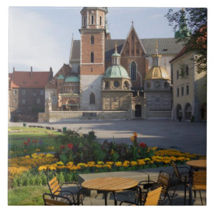 Carreau Café surplombant la cathédrale de Wawel, colline d