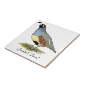 Carreau Cailles du désert de Gambel (Côté)